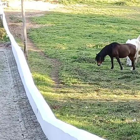 Фермерский дом Quinta De Sant'ana *