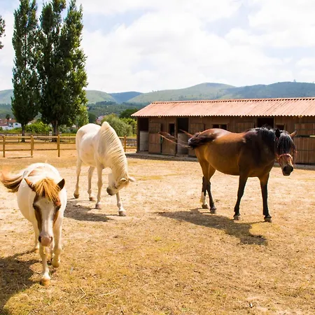 Quinta De Sant'ana Фермерский дом Redinha