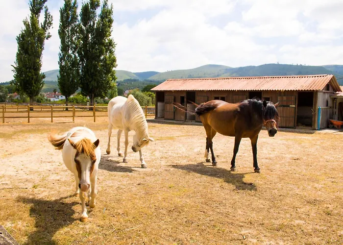 Quinta De Sant'ana Κατάλυμα σε φάρμα Redinha