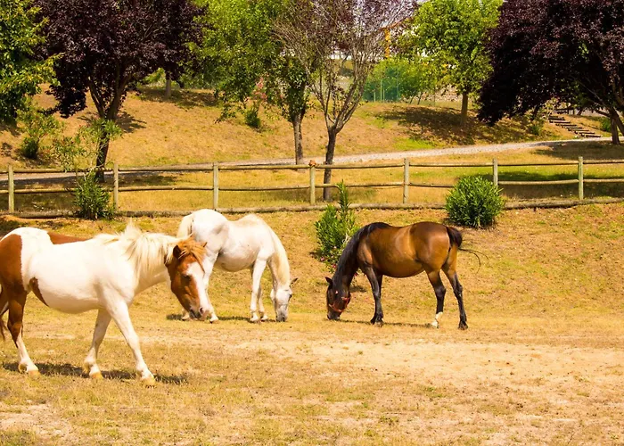 Κατάλυμα σε φάρμα Quinta De Sant'ana *